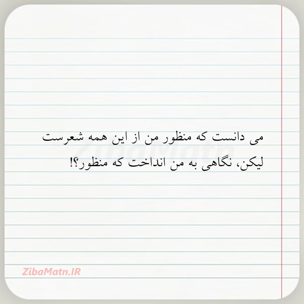 عکس نوشته می دانست که منظور من از