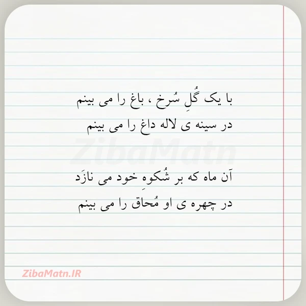 با یک گل سرخ باغ