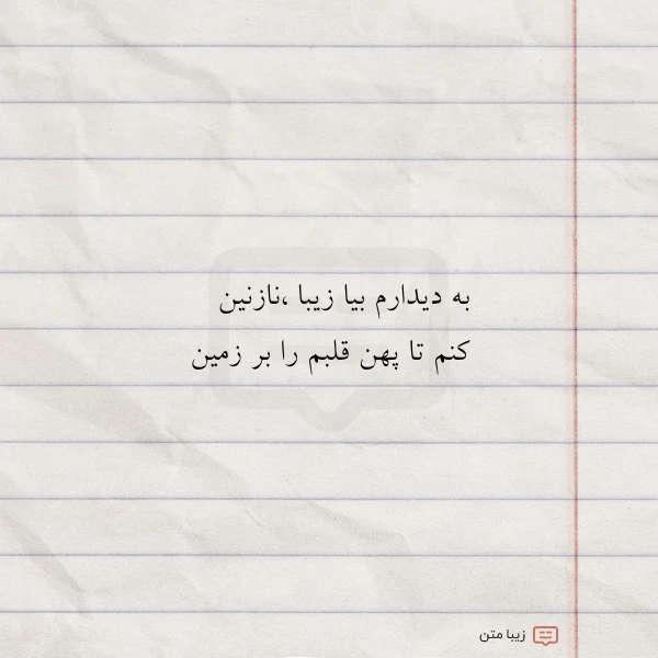 به دیدارم بیا زیبا نازنین کنم