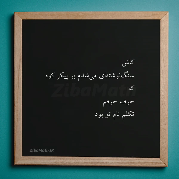 کاش سنگ نوشته ای می شدم