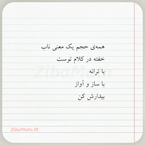 همه ی حجم یک معنی ناب