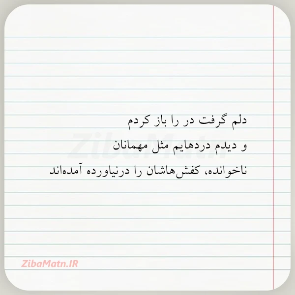 دلم گرفت در را باز کردم