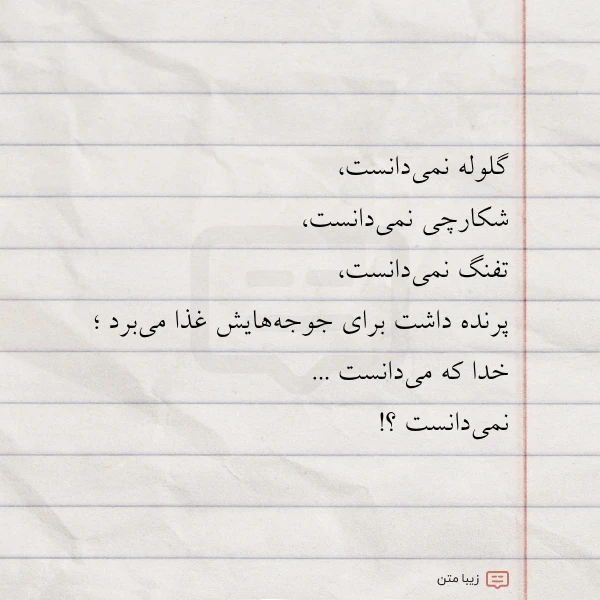 عکس نوشته گلوله نمی دانست شکارچی نمی دانست