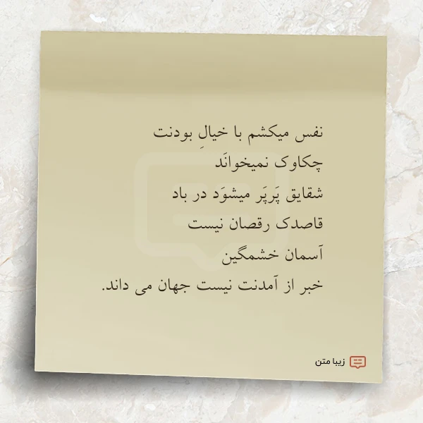نفس میکشم با خیال بودنت چکاوک