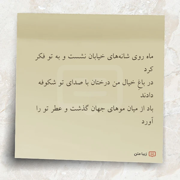 ماه روی شانه های خیابان نشست