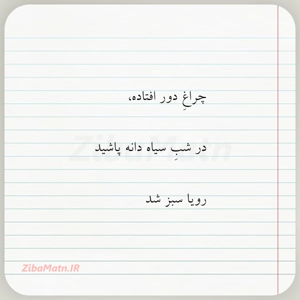 چراغ دور افتاده در شب سیاه
