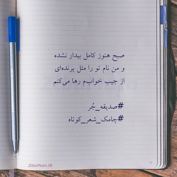 صبح هنوز کامل بیدار نشده و