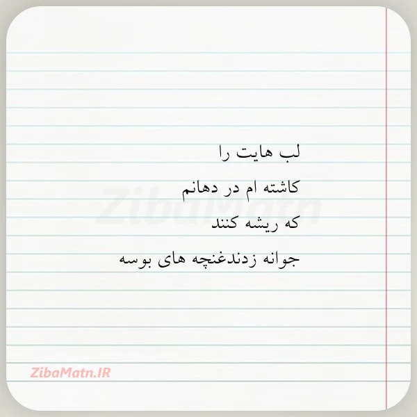 لب هایت را کاشته ام در