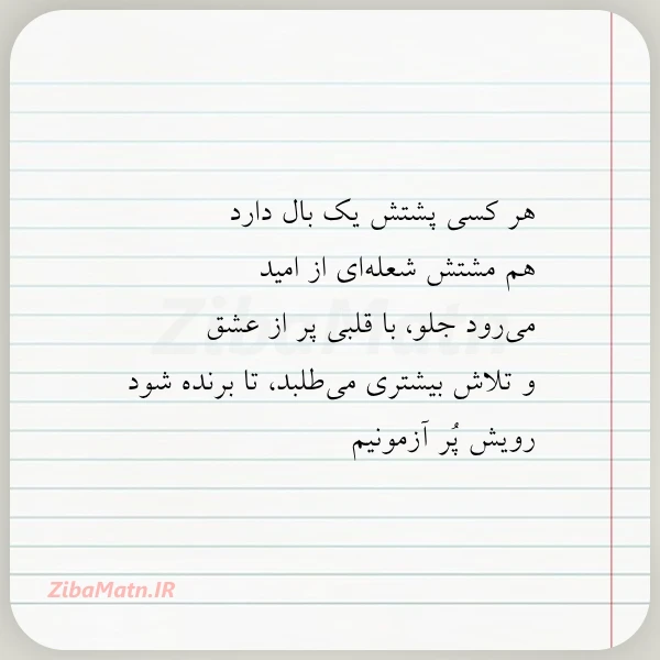 هر کسی پشتش یک بال دارد