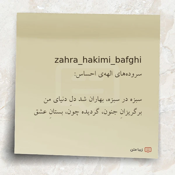 zahra hakimi bafghi سروده های الهه ی احساس