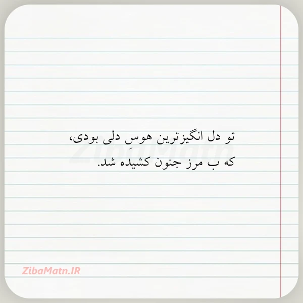 تو دل انگیزترین هوس دلی بودی