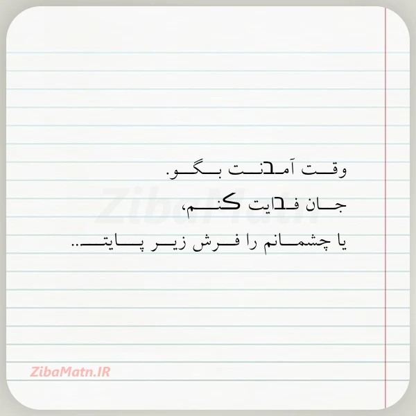 عکس نوشته وقــت آمـבنــت بــگــو جــان فـבایت ڪنـــم