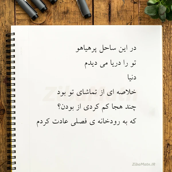 در این ساحل پرهیاهو تو را