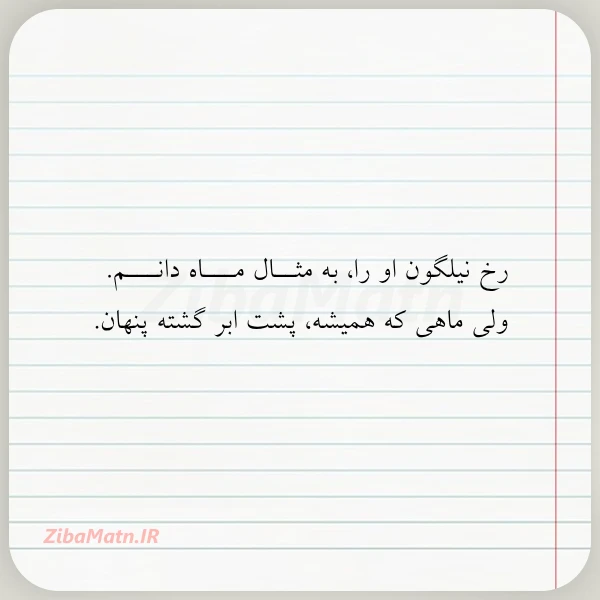 رخ نیلگون او را به مثــال