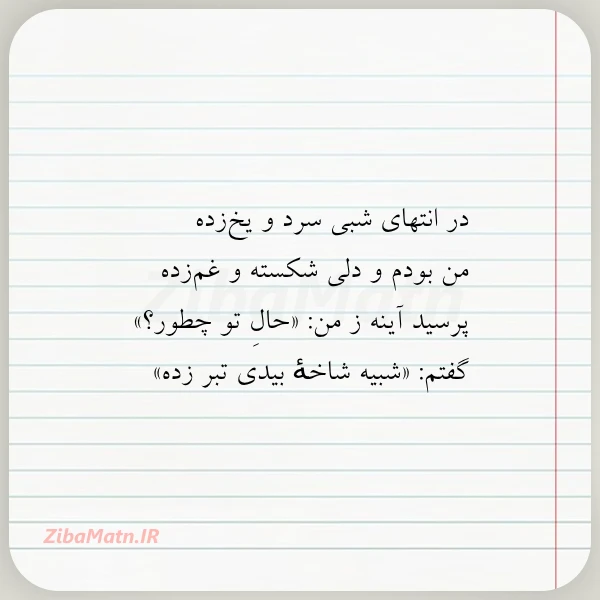 در انتهای شبی سرد و یخ
