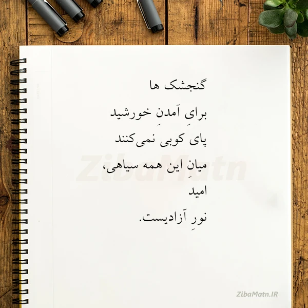 گنجشک ها برای آمدن خورشید پای