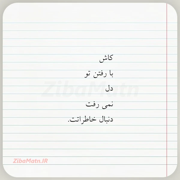 کاش با رفتن تو دل نمی