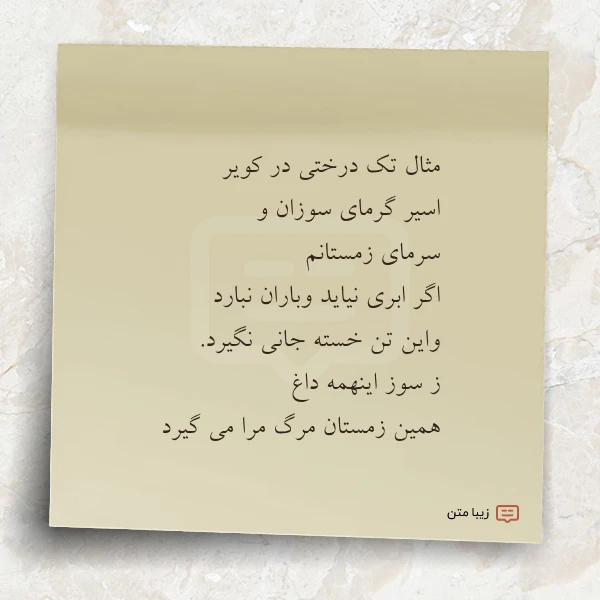 عکس نوشته مثال تک درختی در کویر اسیر