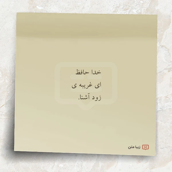 خدا حافظ ای غریبه ی زود