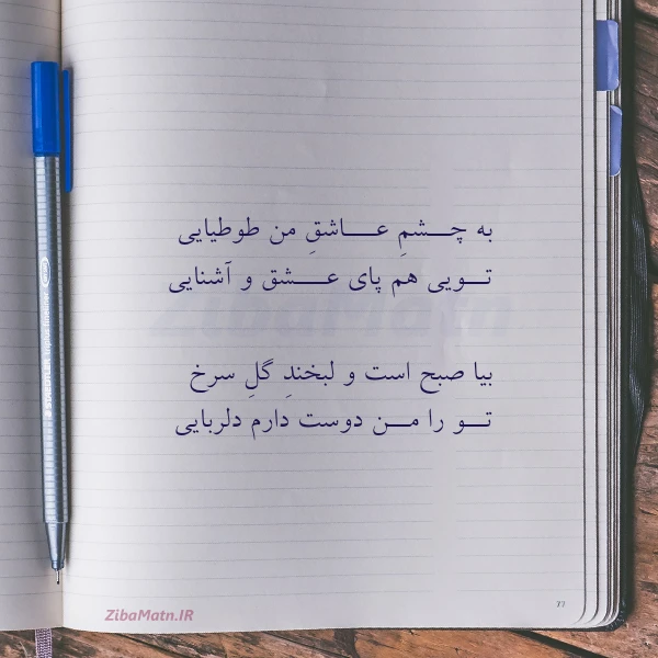 به چــشم عـــاشق من طوطیایی تــویی