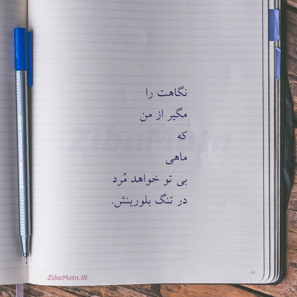 نگاهت را مگیر از من که