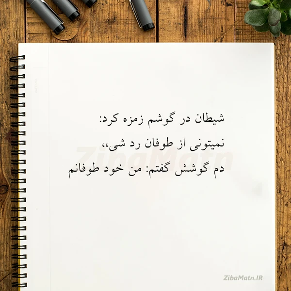 عکس نوشته شیطان در گوشم زمزه کرد نمیتونی