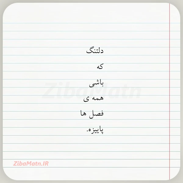 دلتنگ که باشی همه ی فصل
