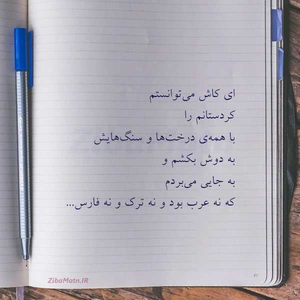 ای کاش می توانستم کردستانم را