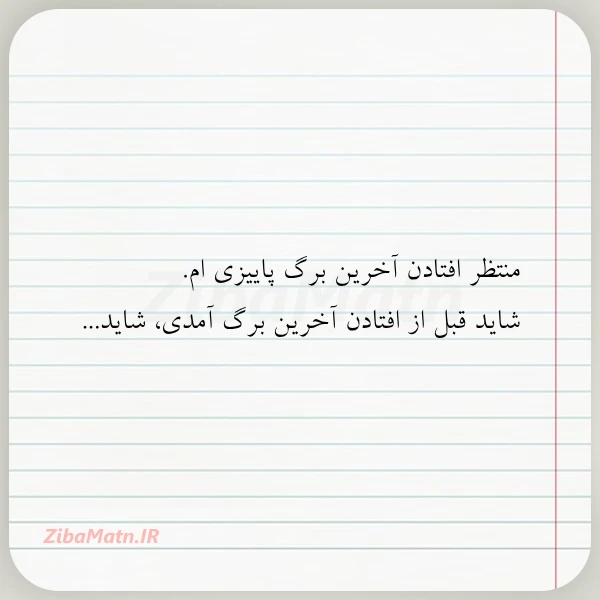 منتظر افتادن آخرین برگ پاییزی ام