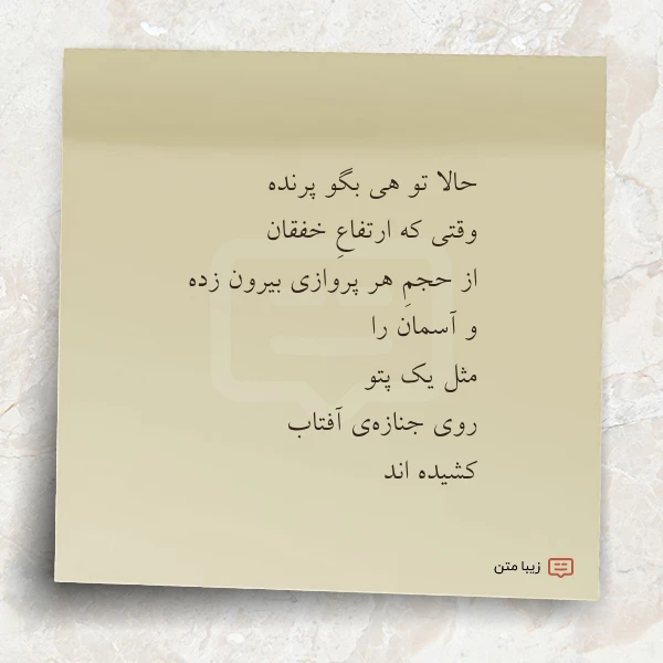 حالا تو هی بگو پرنده وقتی