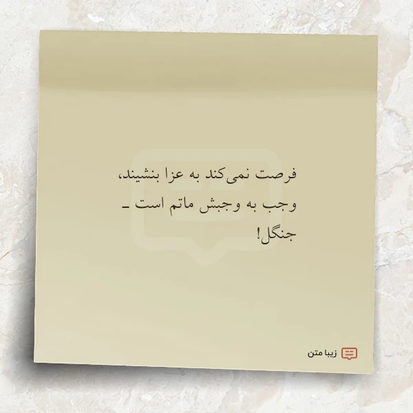 فرصت نمی کند به عزا بنشیند