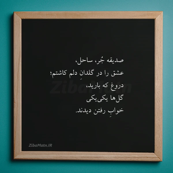 عکس نوشته صدیقه جر ساحل عشق را در
