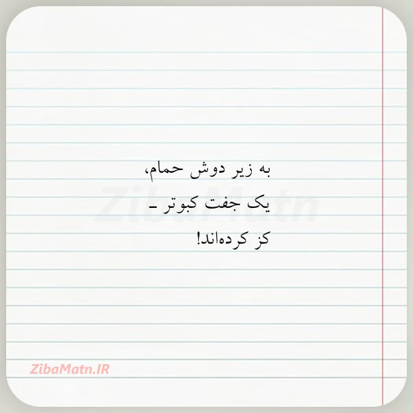 به زیر دوش حمام یک جفت