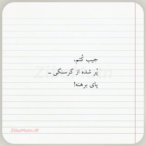 عکس نوشته جیب کتم پر شده از گرسنگی