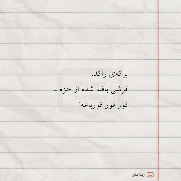 برکه ی راکد فرشی بافته شده