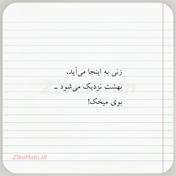 عکس نوشته زنی به اینجا می آید بهشت