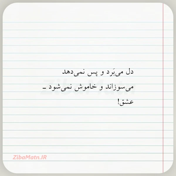عکس نوشته دل می برد و پس نمی