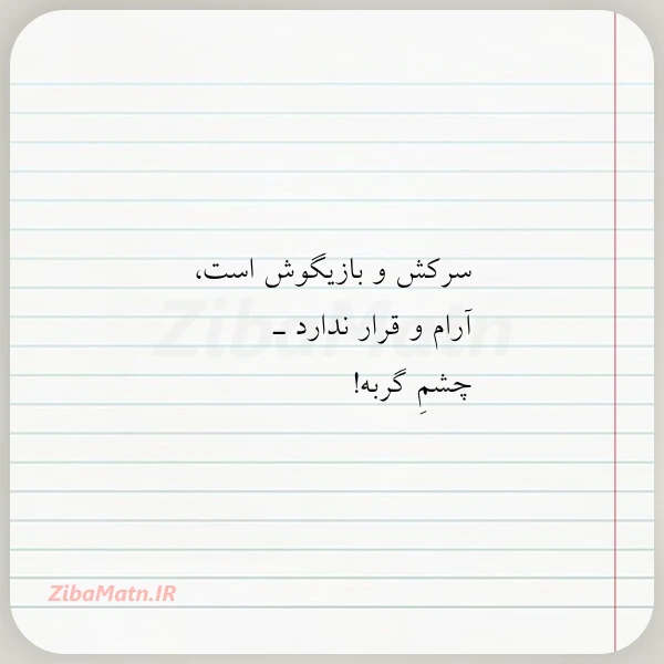 عکس نوشته سرکش و بازیگوش است آرام و