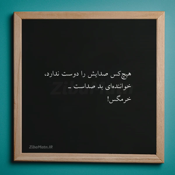 عکس نوشته هیچ کس صدایش را دوست ندارد