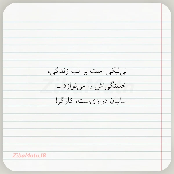 عکس نوشته نی لبکی است بر لب زندگی