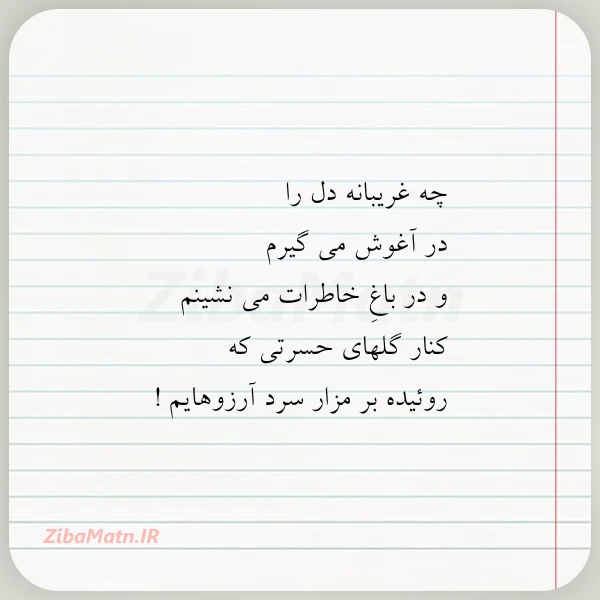 چه غریبانه دل را در آغوش