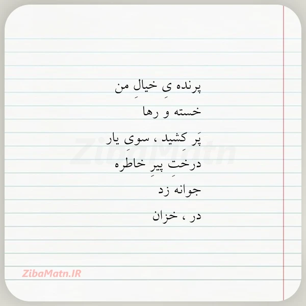 عکس نوشته پرنده ی خیال من خسته و