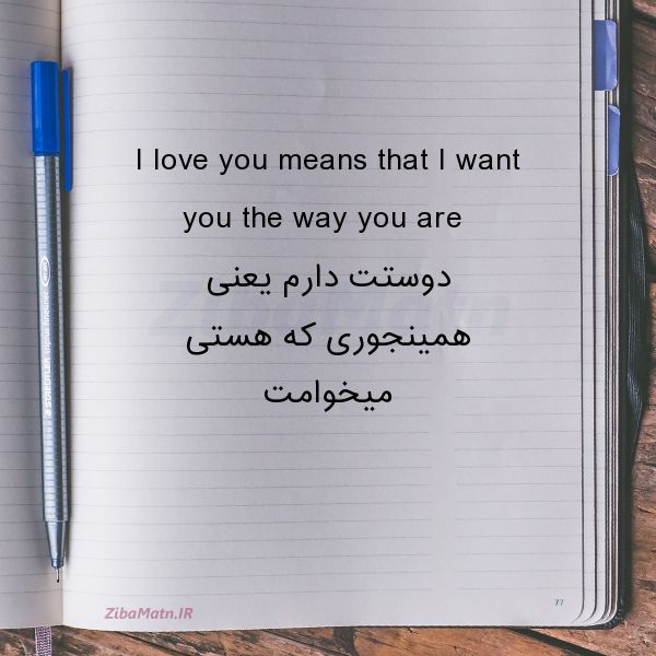 عکس نوشته عاشقانه I love you means that I want