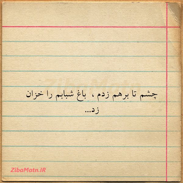 چشم تا برهم زدم باغ شبابم را