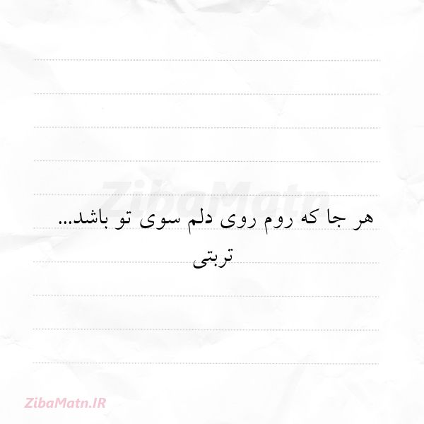 هر جا که روم روی دلم سوی تو با