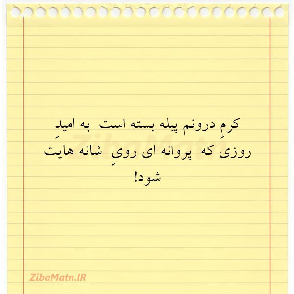 کرمِ درونم پیله بسته است