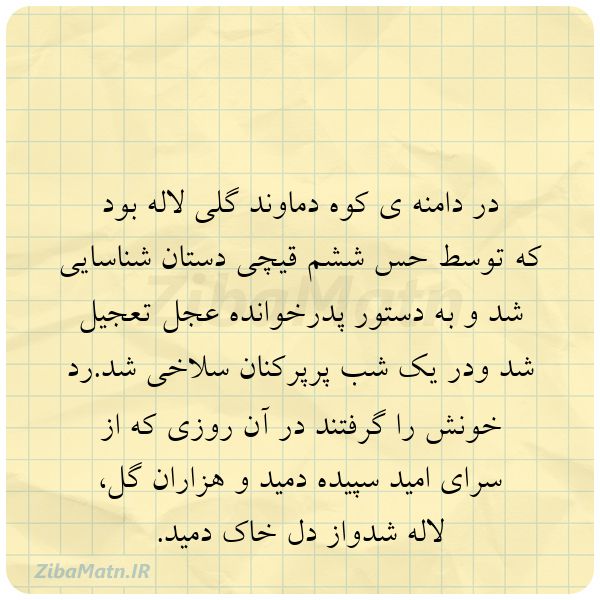 عکس نوشته ساجده مطوری در دامنه ی کوه دماوند گلی لاله